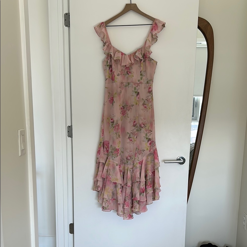 Birdy Grey Ginny Dress in Chiffon Vintage Pink Floral - Picture 4 of 6